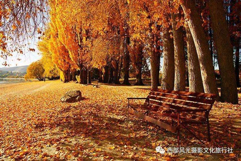 生死狙击魔方加副武器伤害吗？游戏画面